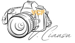 Vasile Ciausu - logo fotbal